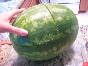 cuts in watermelon